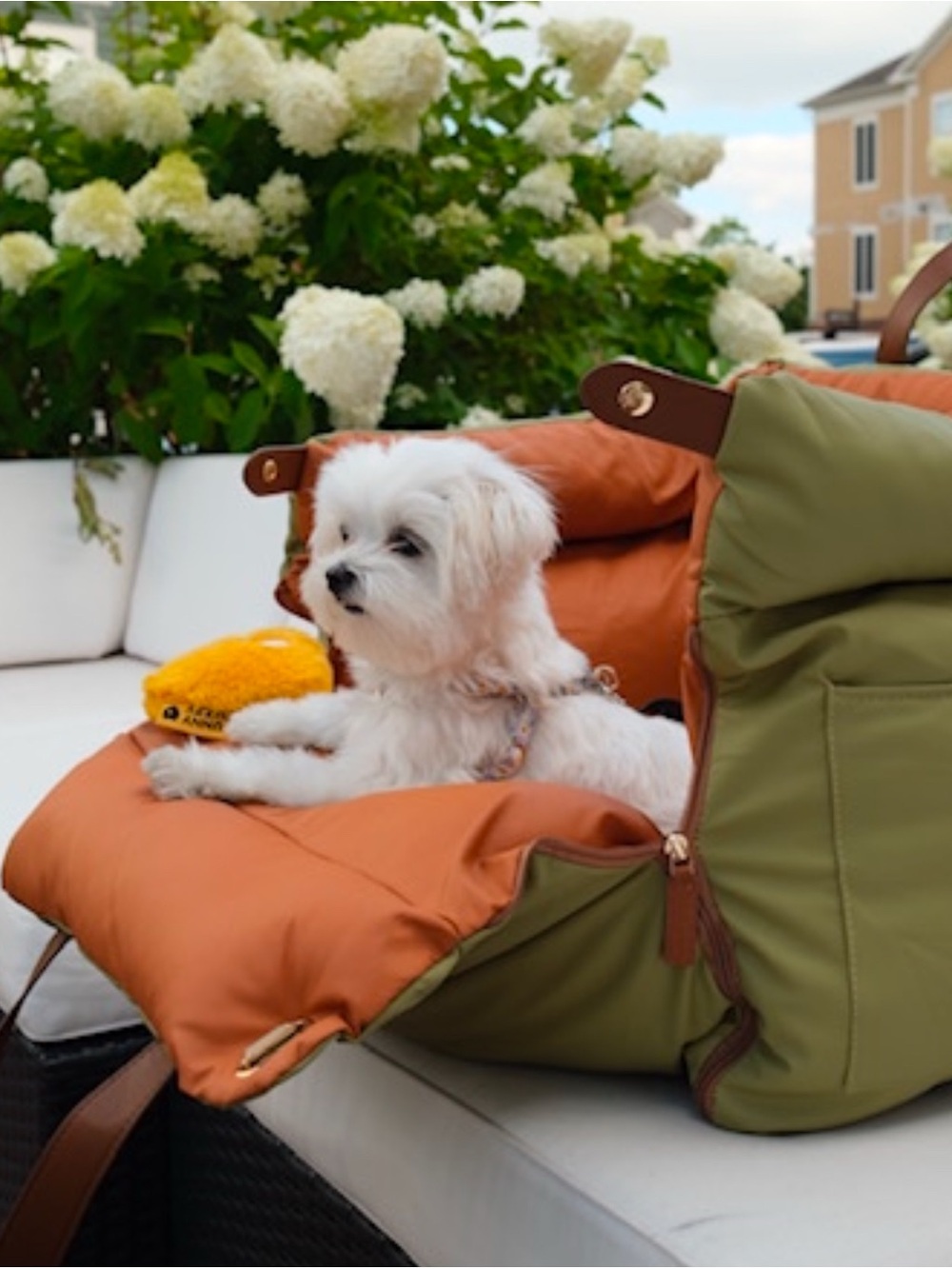 FunnyFuzzy Car Booster Seat Travel Dog Bed, new without tags - Picture 9 of 16